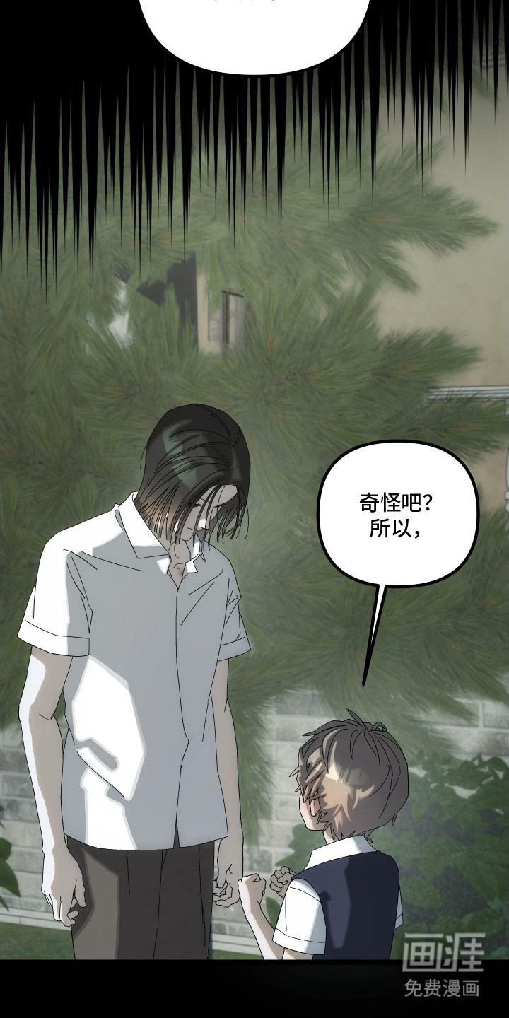 窥秘者漫画-图14