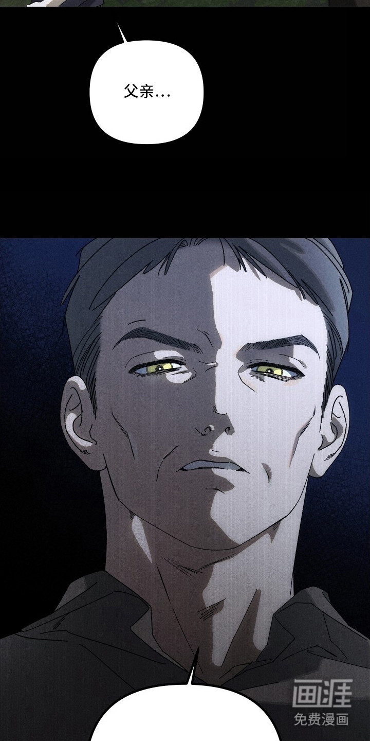 窥秘者漫画-图17