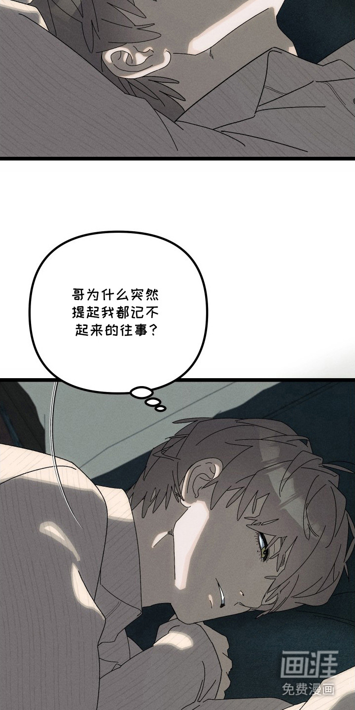 窥秘者漫画-图6