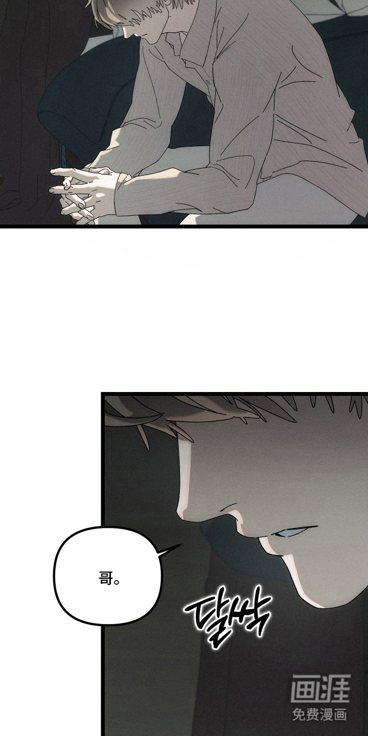 窥秘者漫画-图12