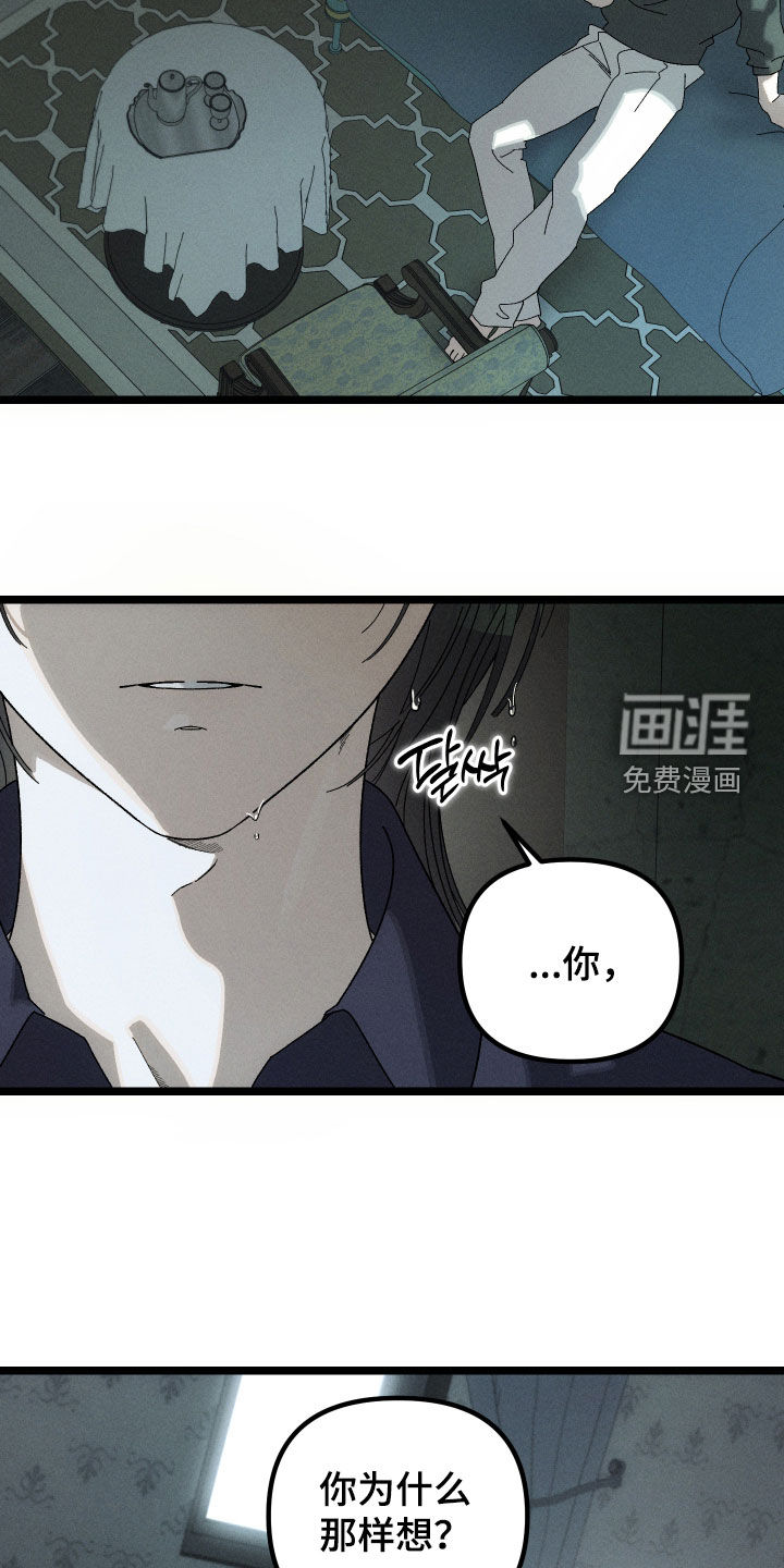 窥秘者漫画-图5