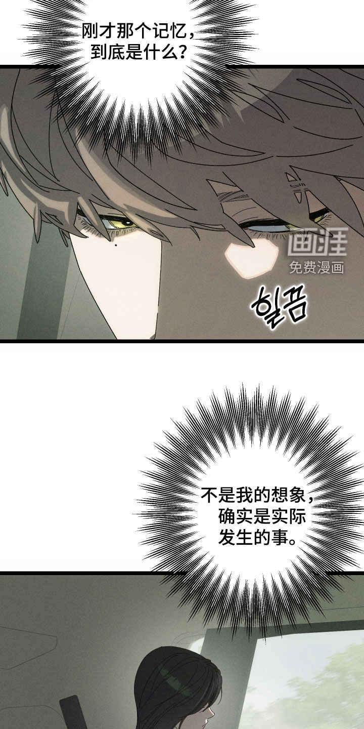 窥秘者漫画-图4