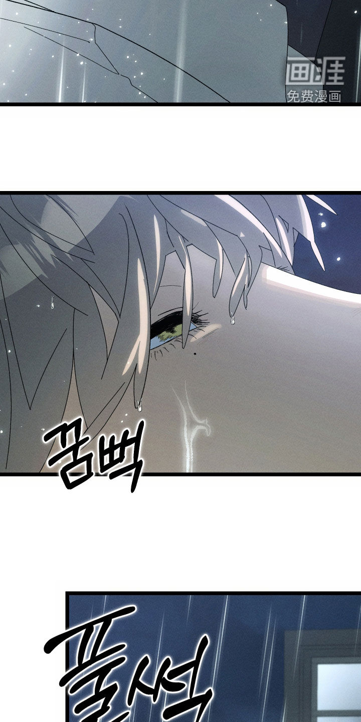 窥秘者漫画-图13