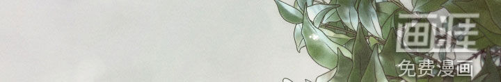 窥秘者漫画-图17