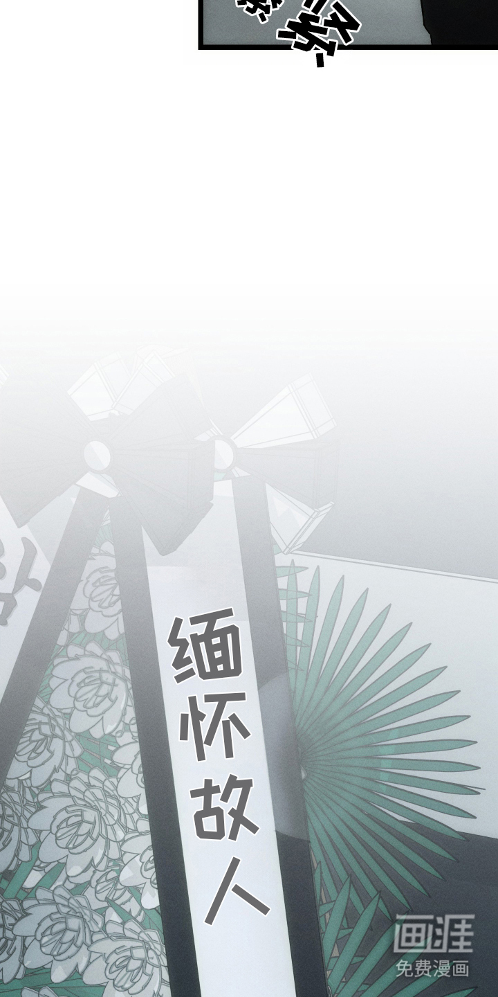 窥秘者漫画-图4