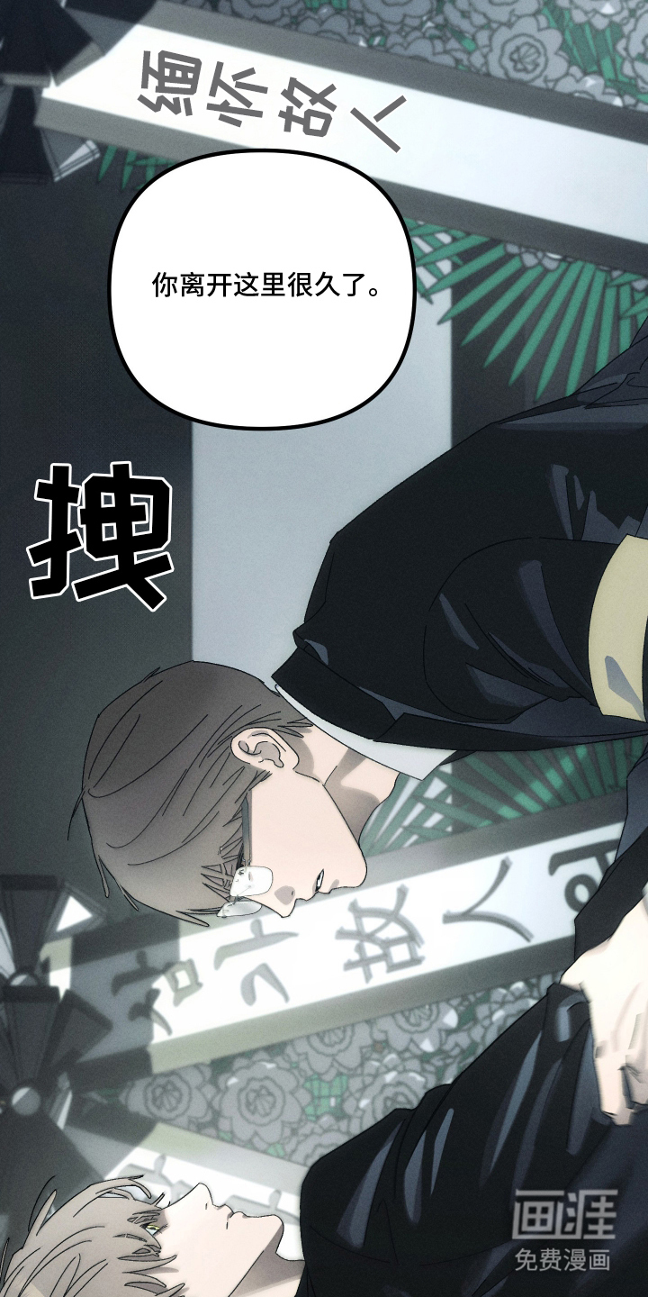 窥秘者漫画-图11