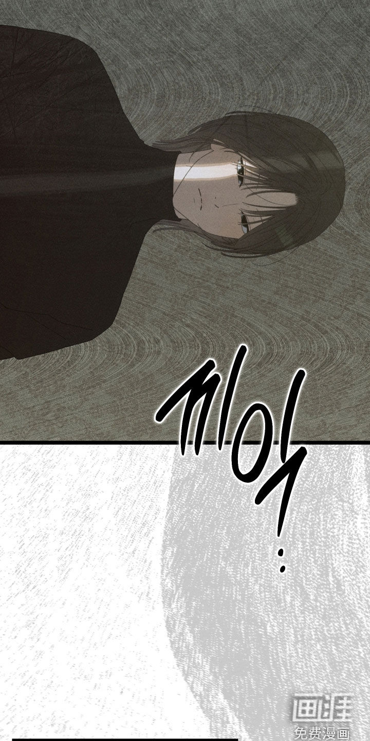 窥秘者漫画-图16