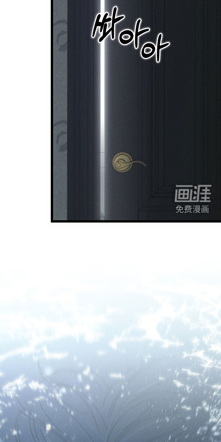 窥秘者漫画-图2