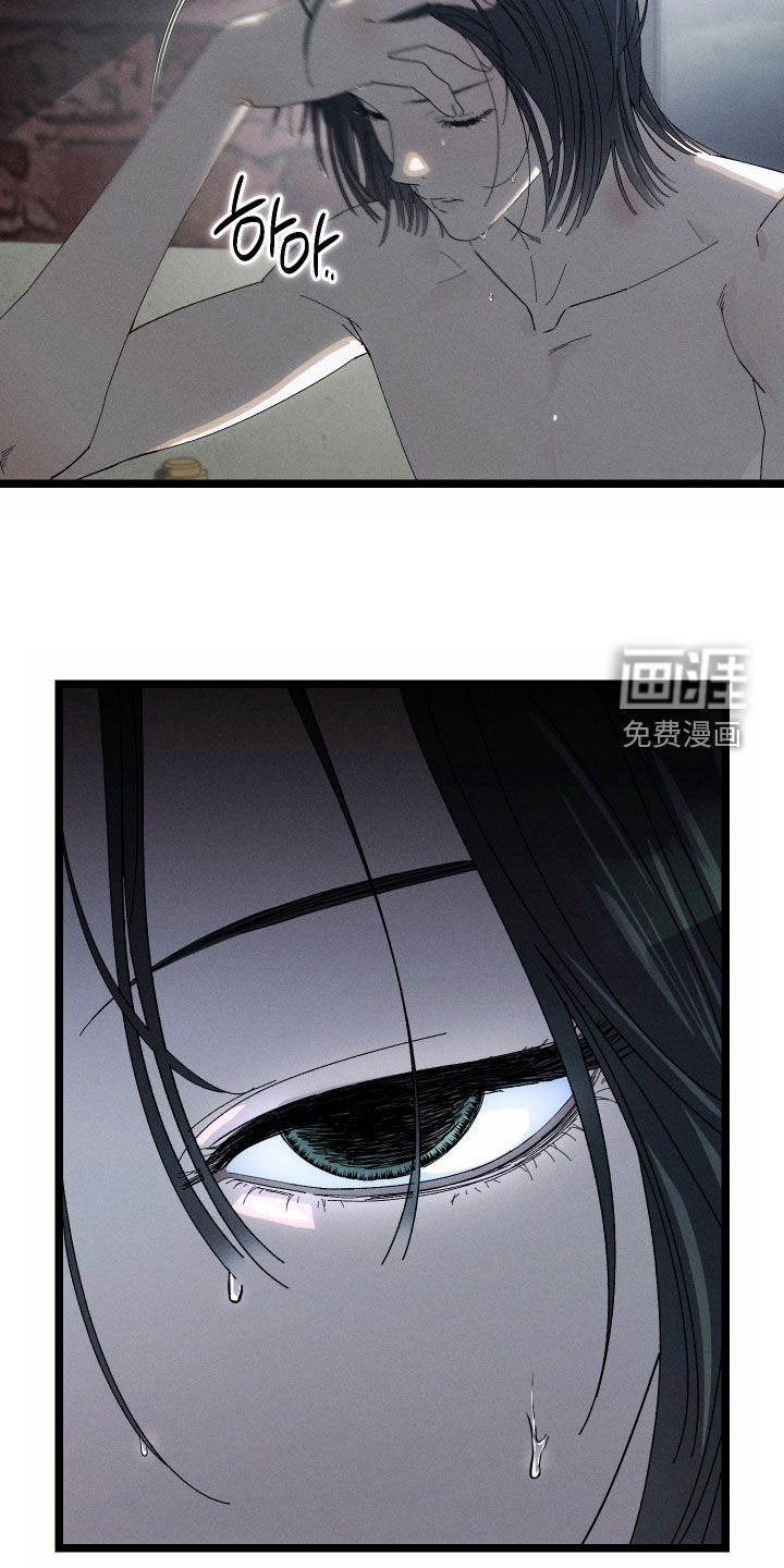 窥秘者漫画-图5