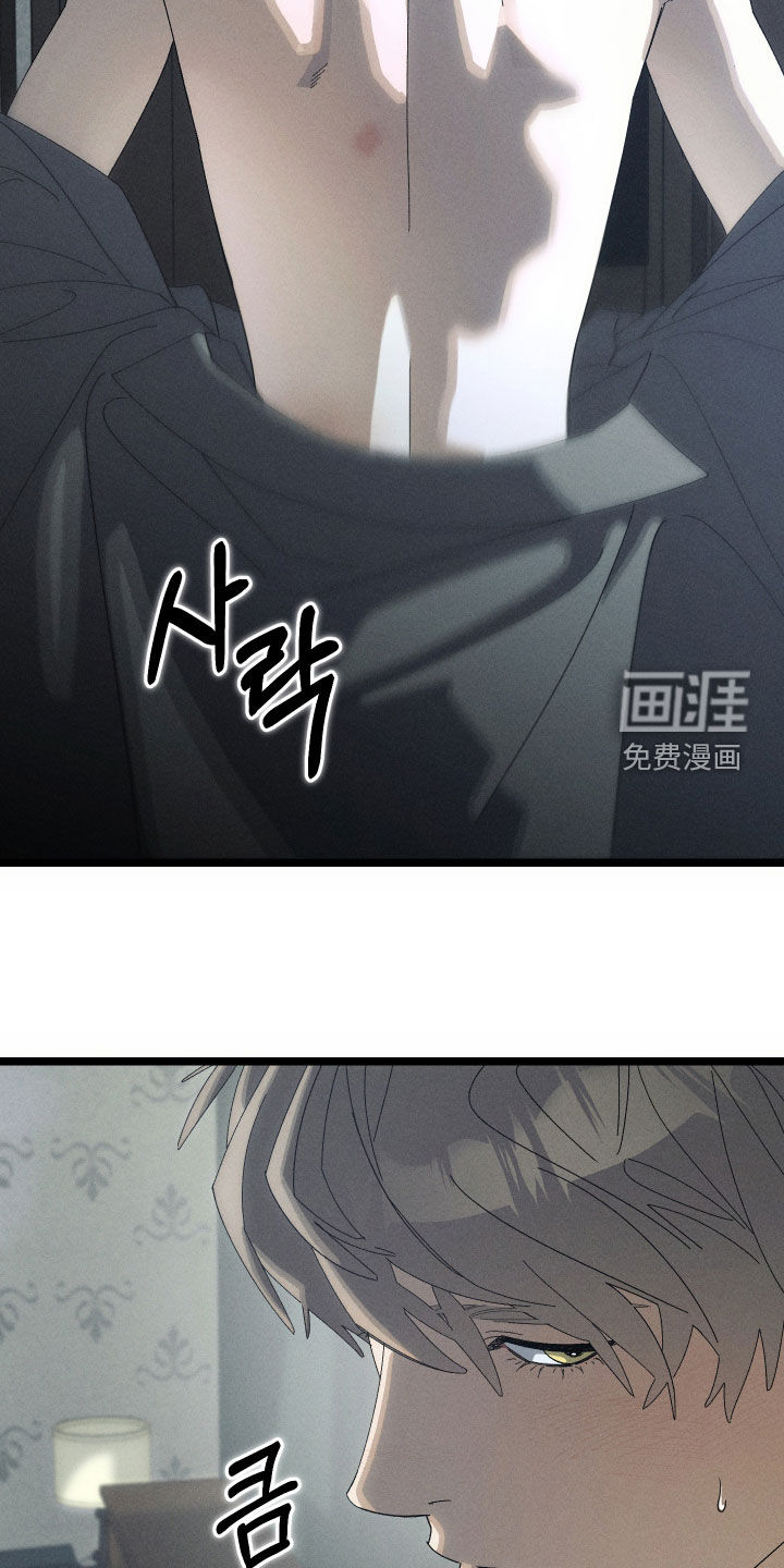 窥秘者漫画-图12