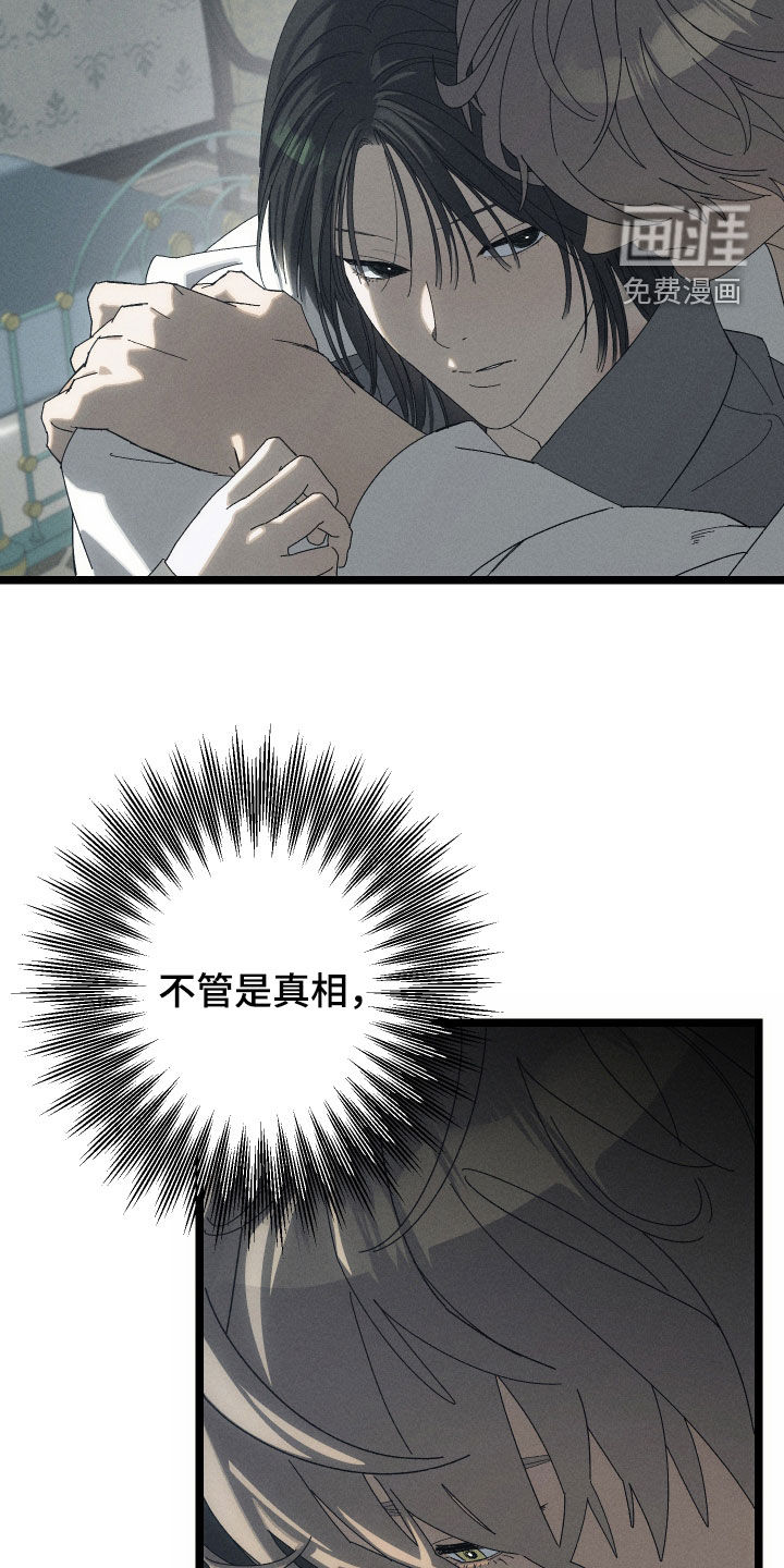 窥秘者漫画-图19