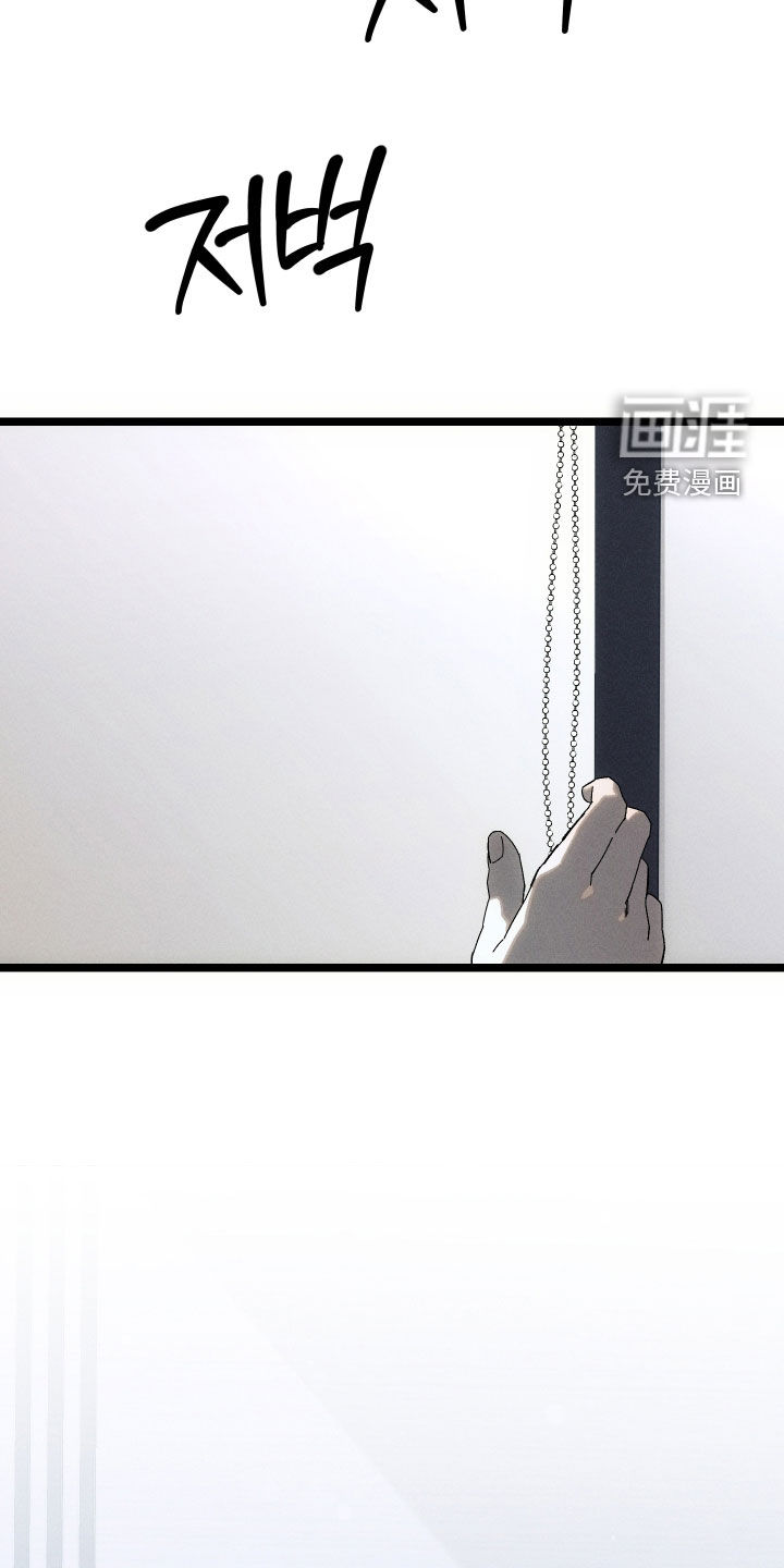 窥秘者漫画-图7
