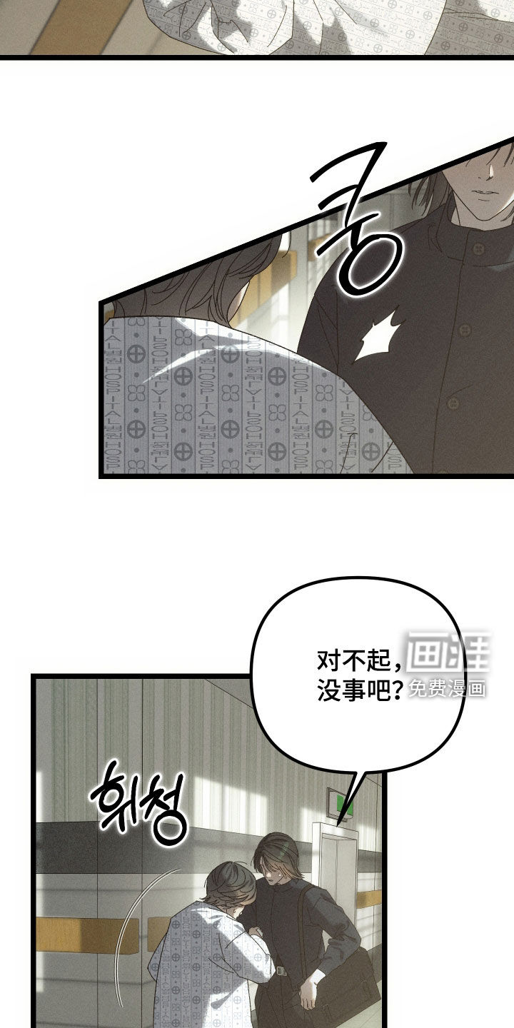 窥秘者漫画-图16