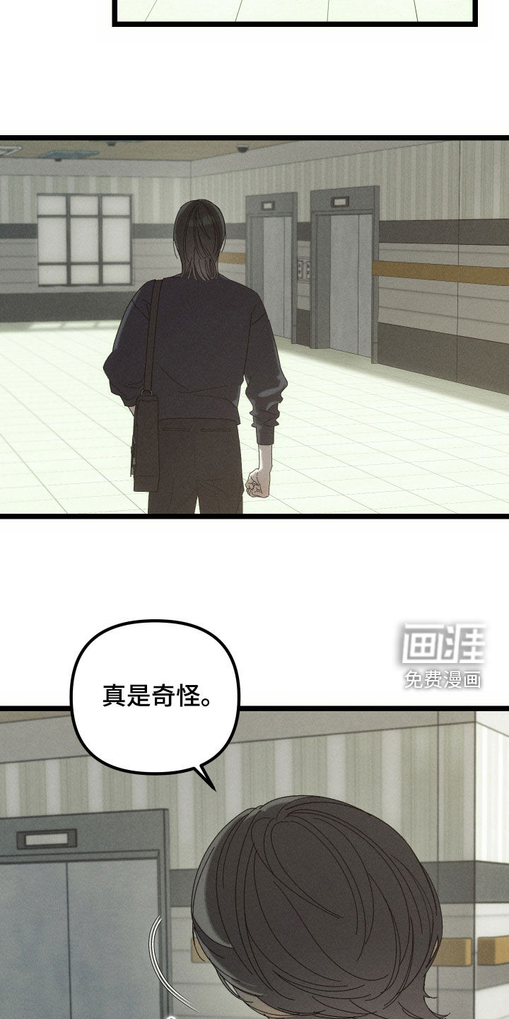 窥秘者漫画-图23