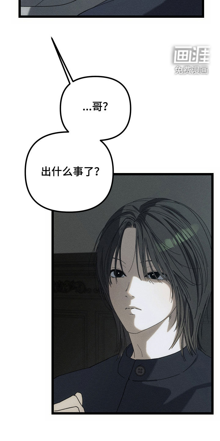 窥秘者漫画-图4