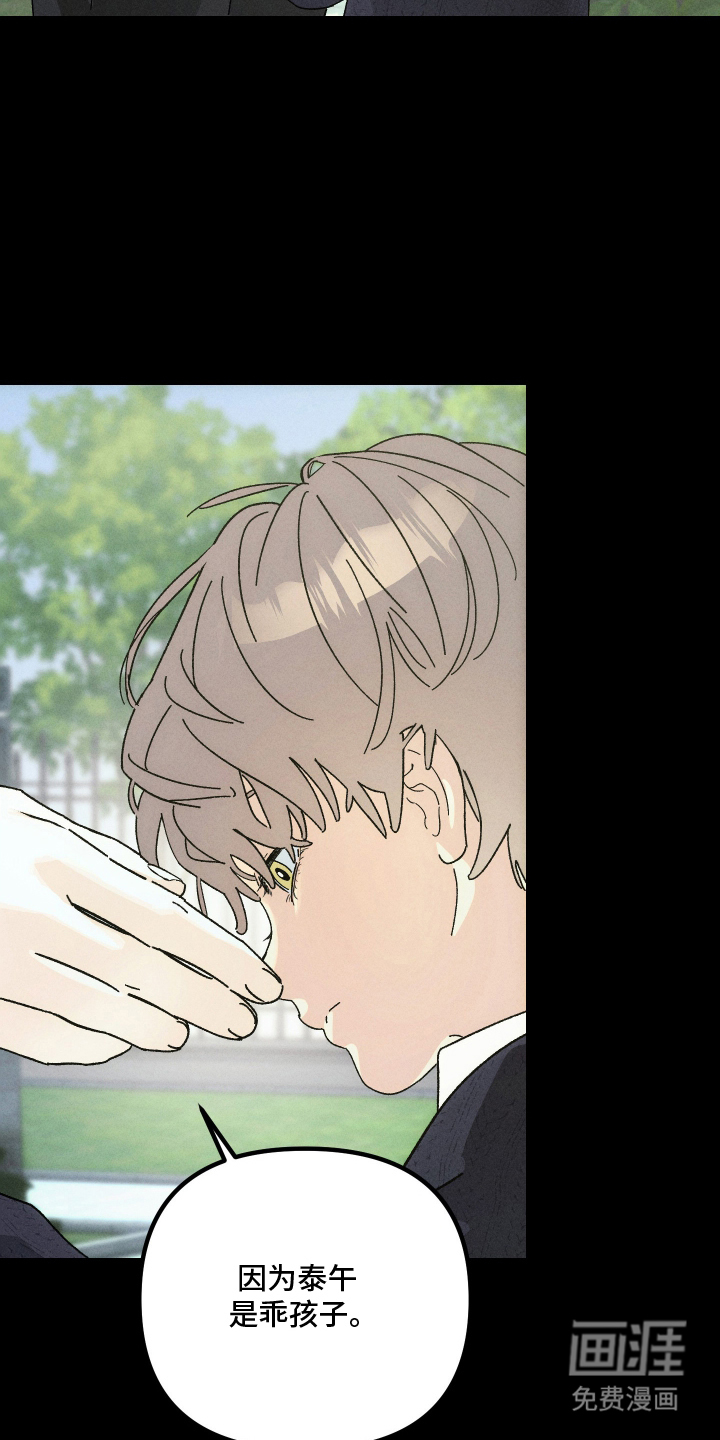 窥秘者漫画-图5