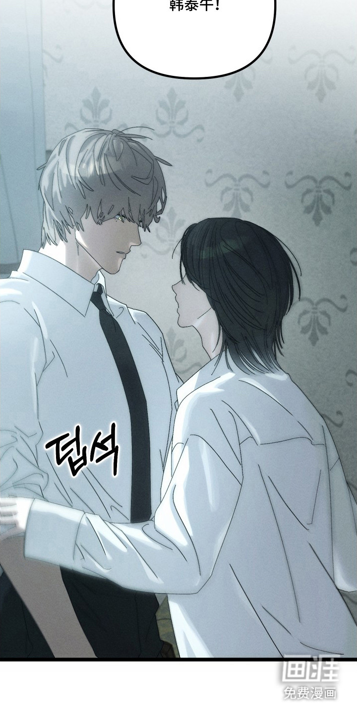 窥秘者漫画-图10