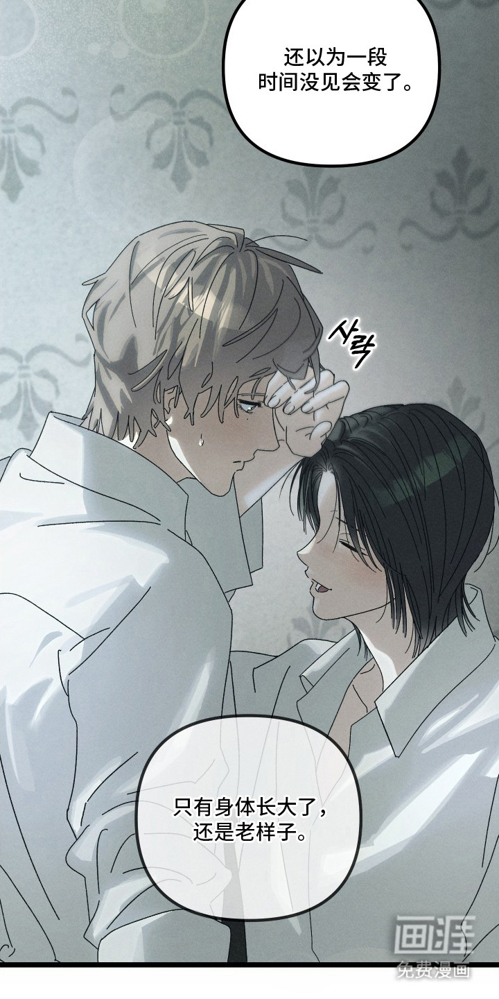 窥秘者漫画-图15