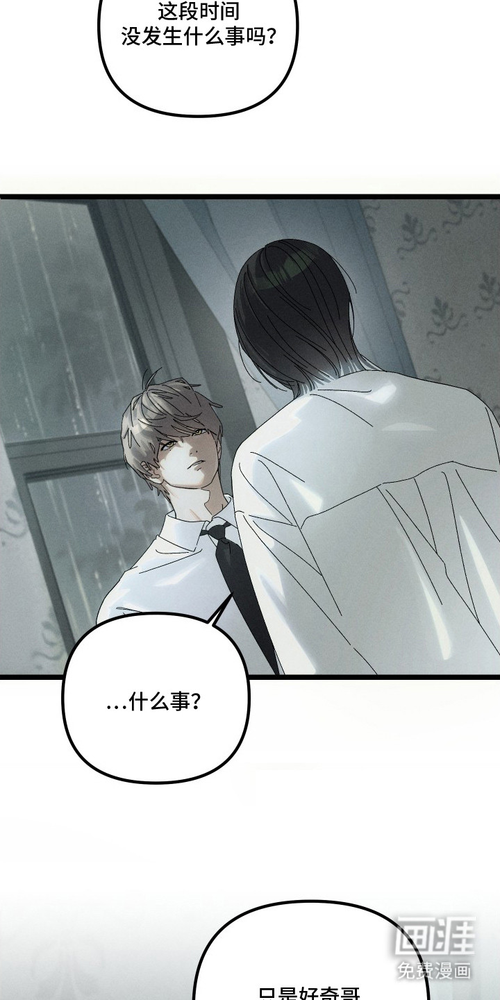 窥秘者漫画-图20