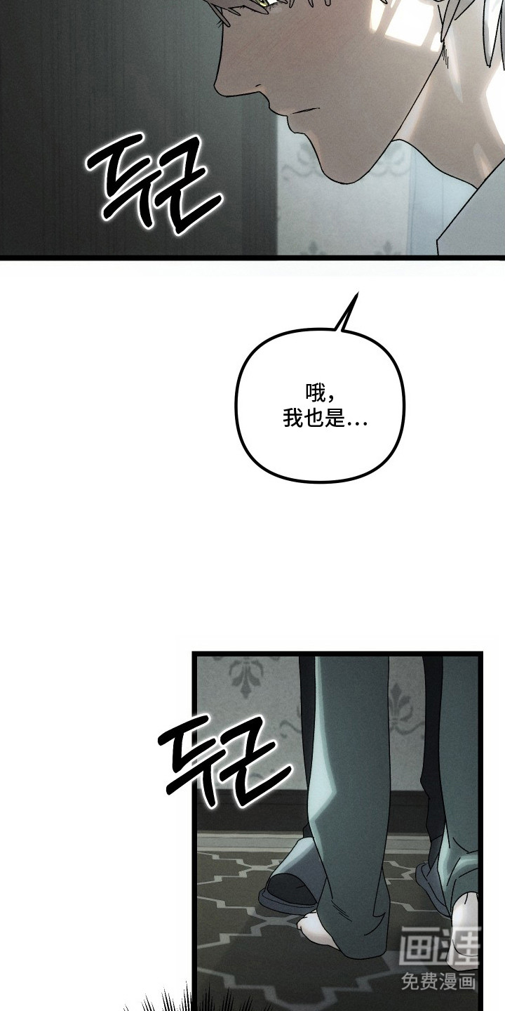 窥秘者漫画-图3