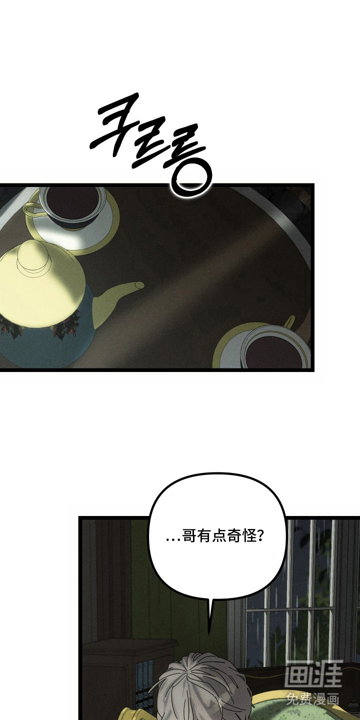 窥秘者漫画-图0