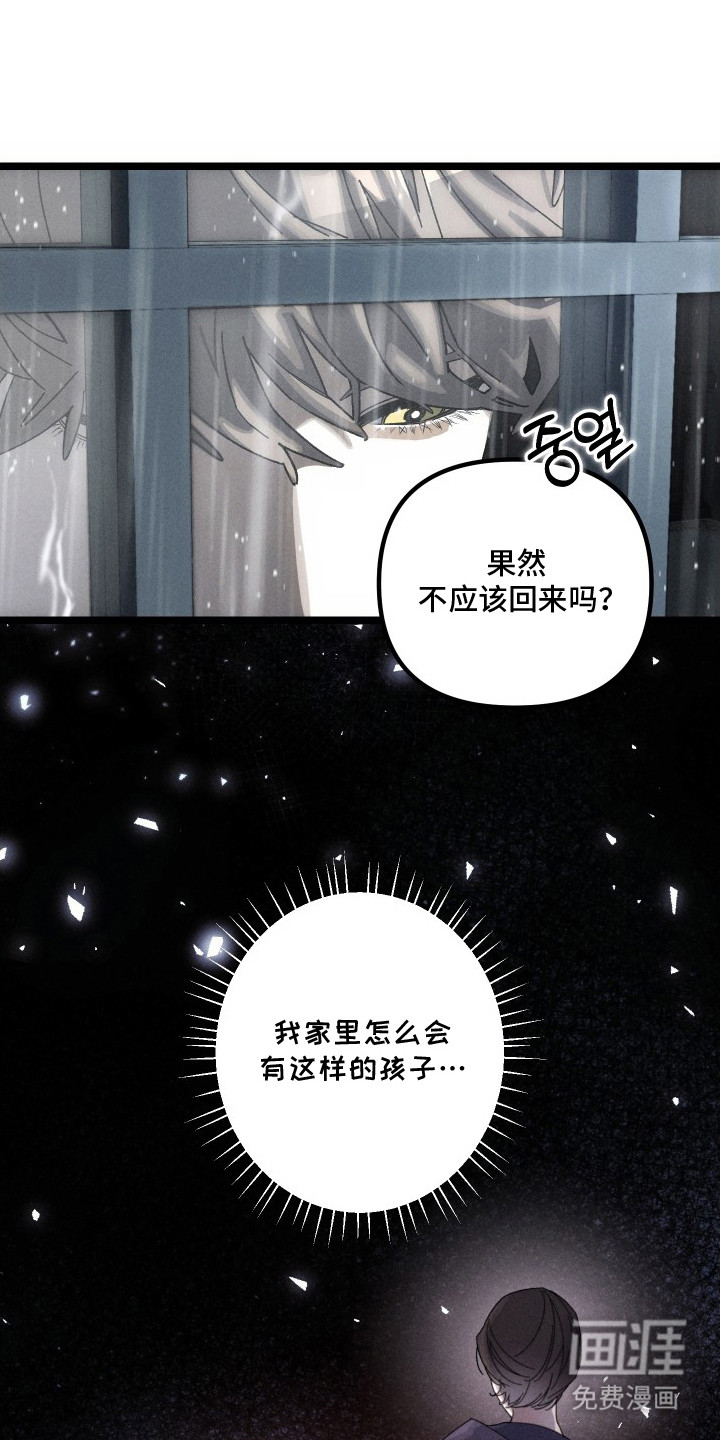 窥秘者漫画-图4