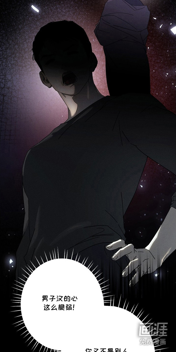 窥秘者漫画-图5