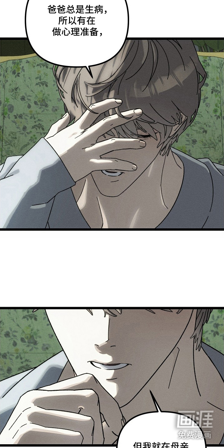 窥秘者漫画-图15