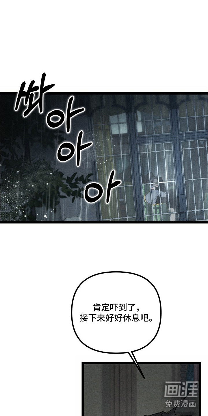 窥秘者漫画-图0