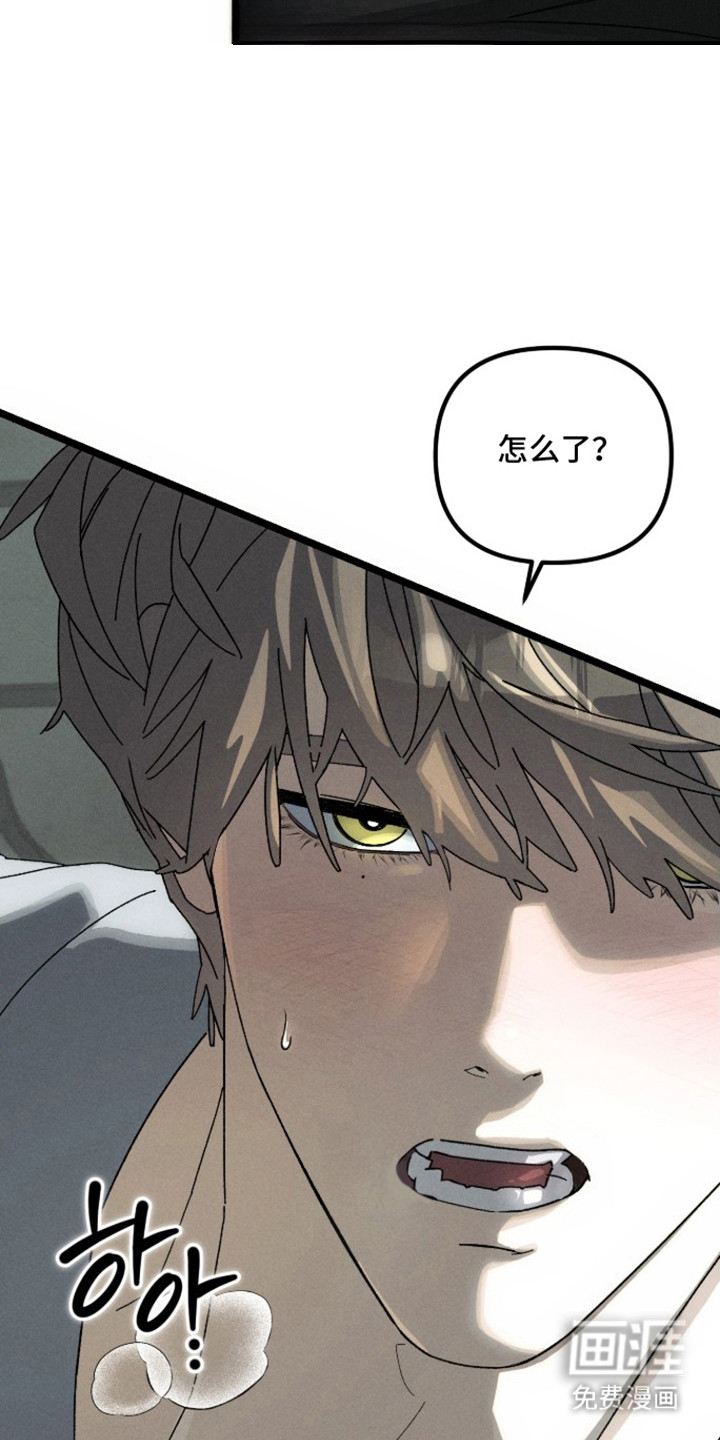 窥秘者漫画-图10