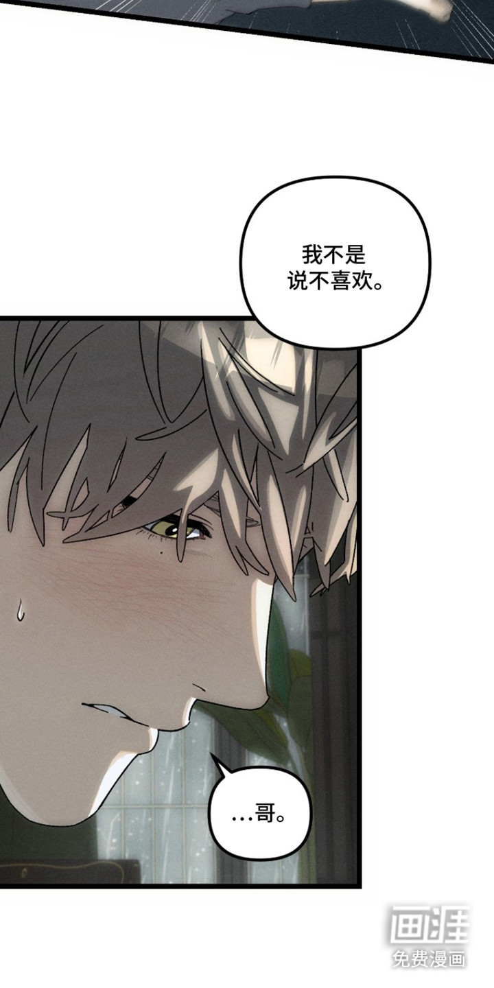 窥秘者漫画-图13