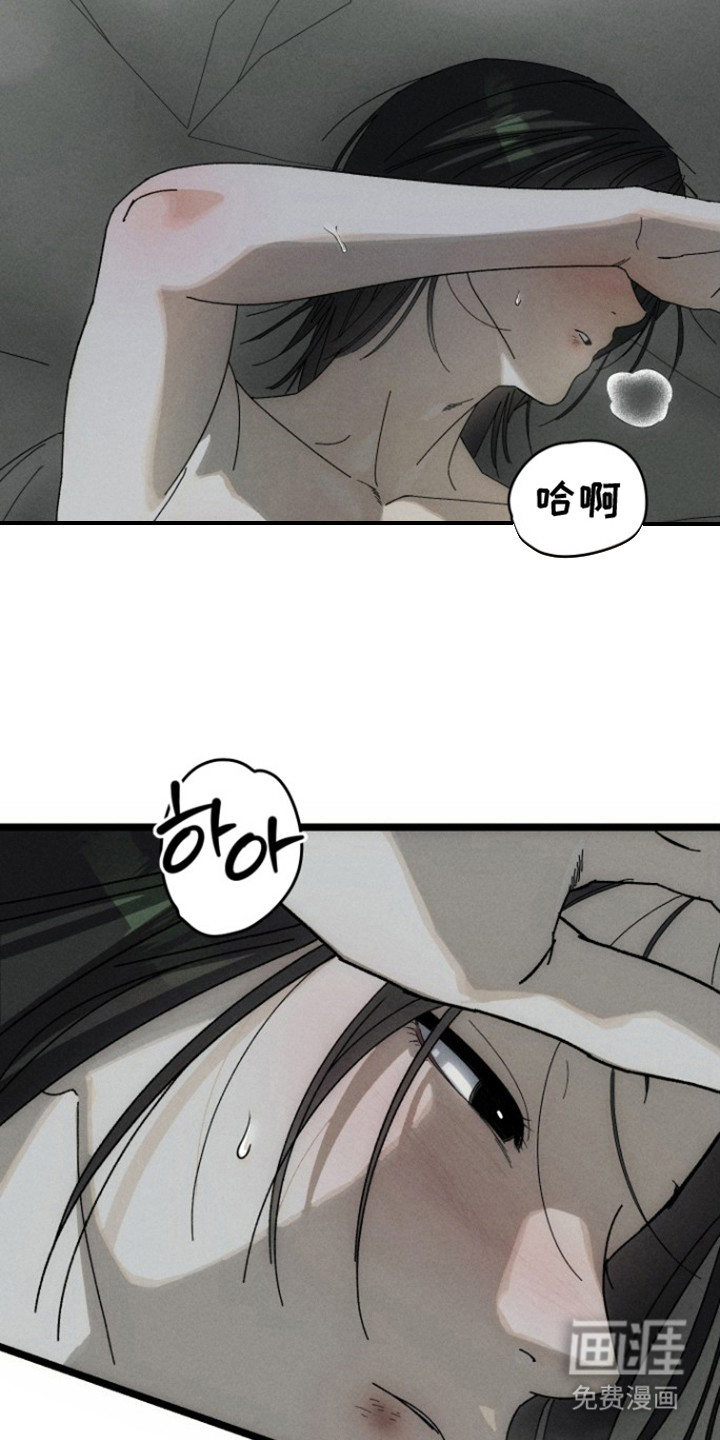 窥秘者漫画-图5