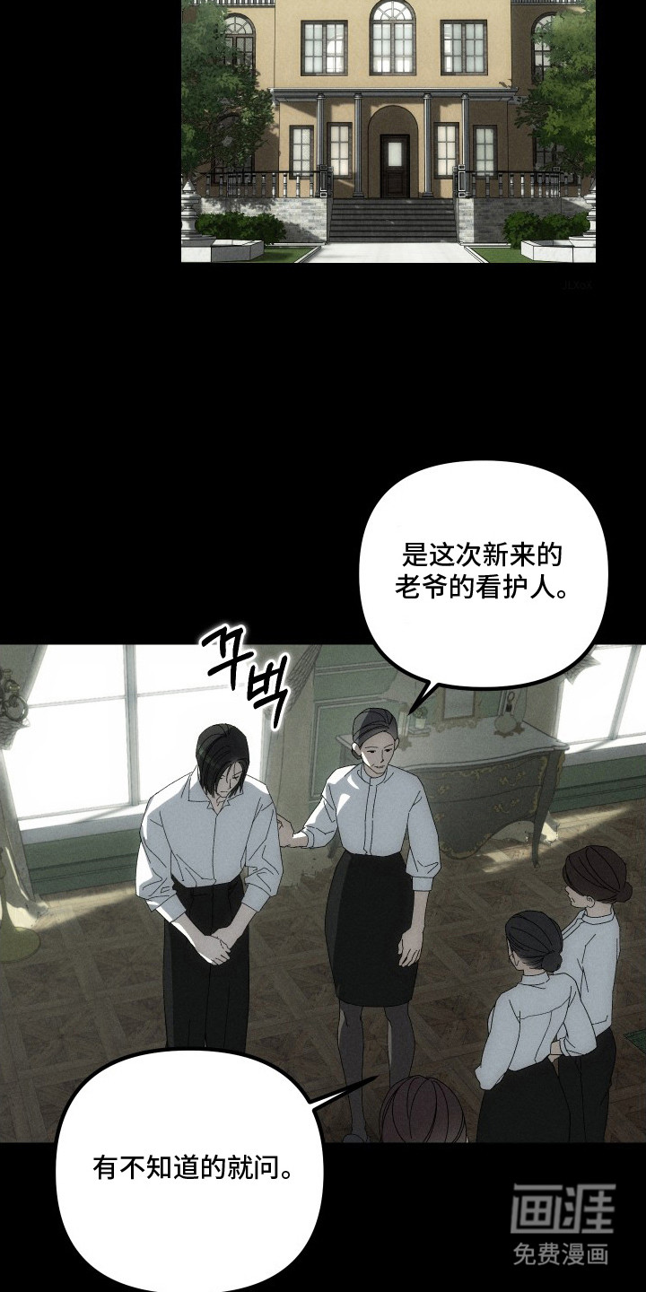 窥秘者漫画-图12