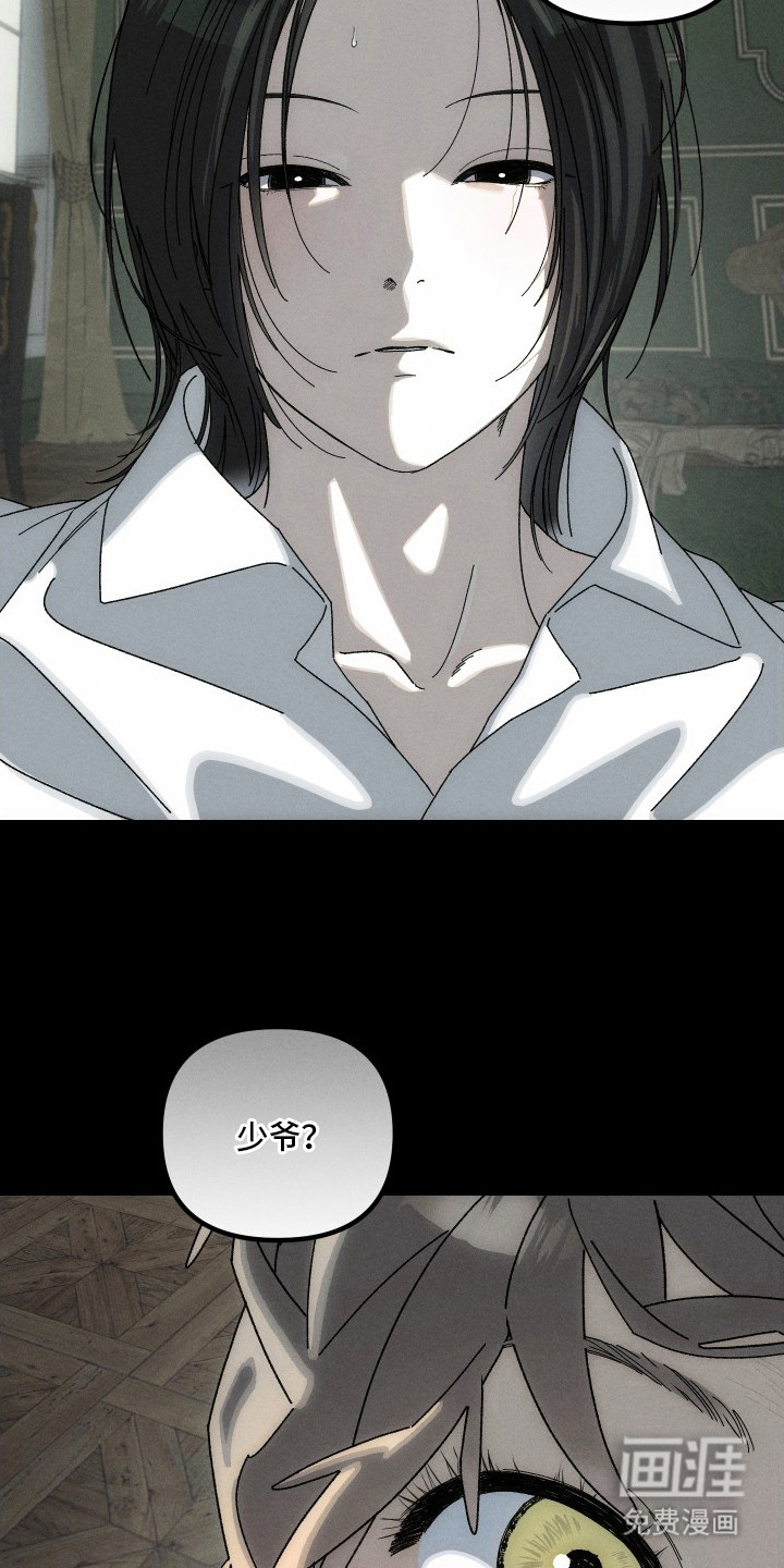 窥秘者漫画-图20