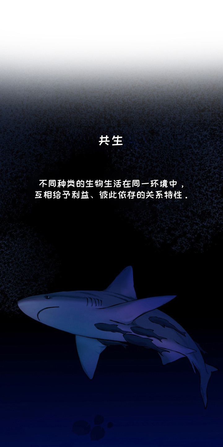 狂夜共生漫画-图0
