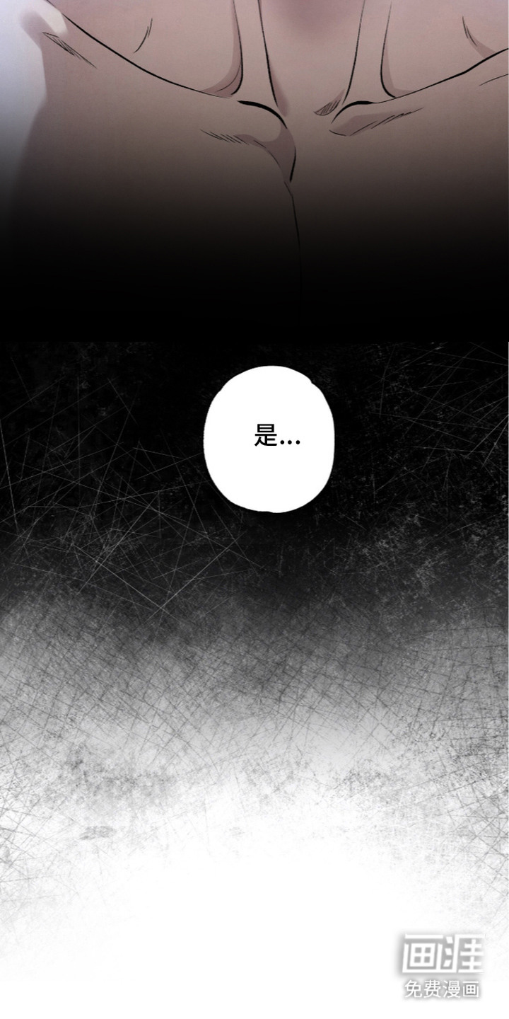 狂夜共生漫画-图5