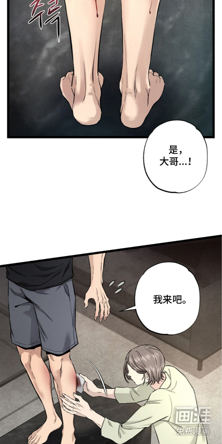 狂夜共生漫画-图9