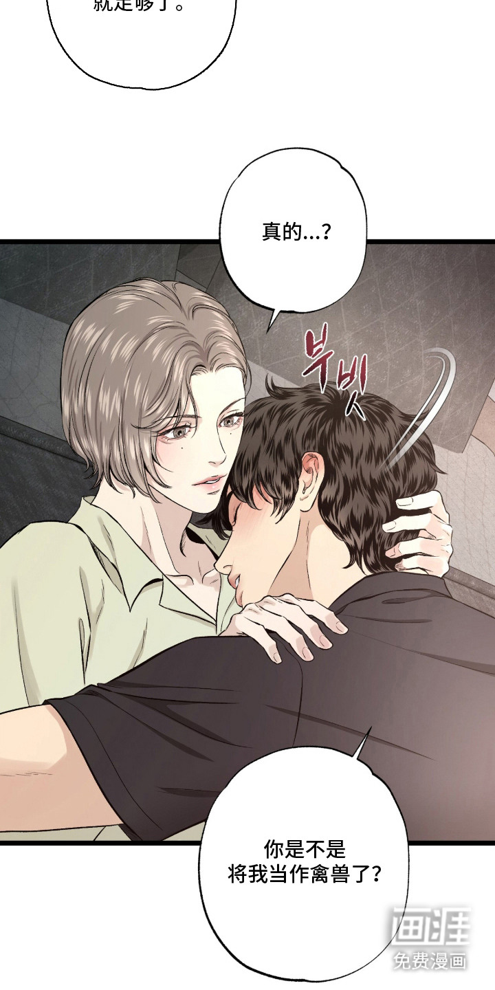 狂夜共生漫画-图3