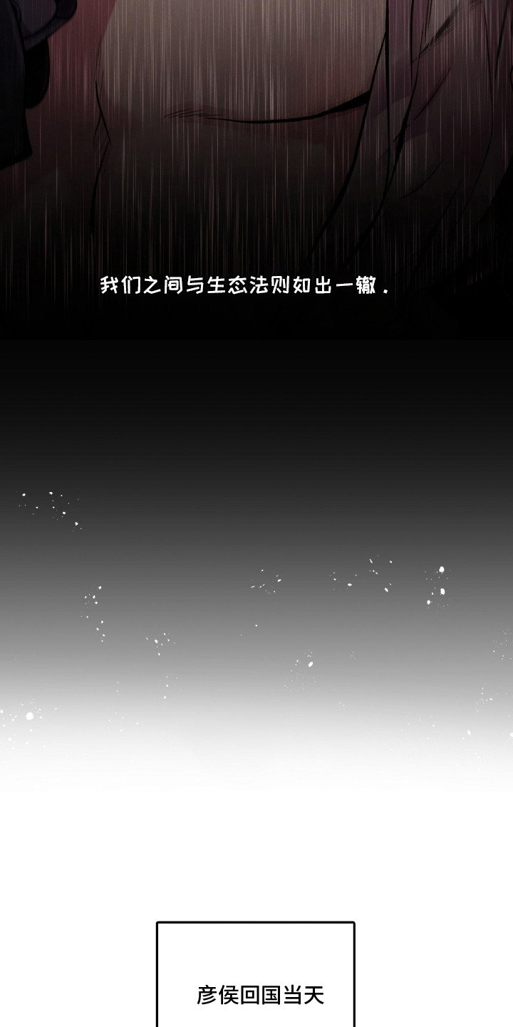 狂夜共生漫画-图12