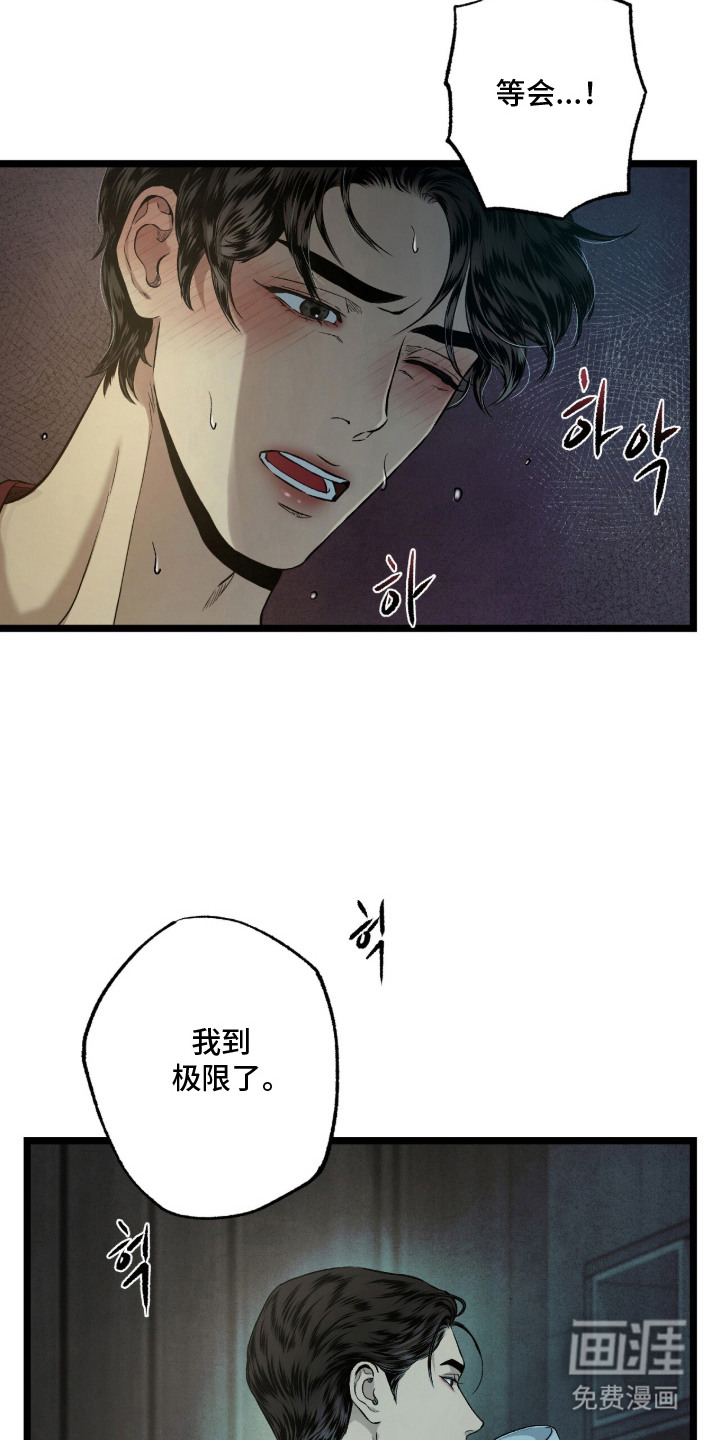 狂夜共生漫画-图7