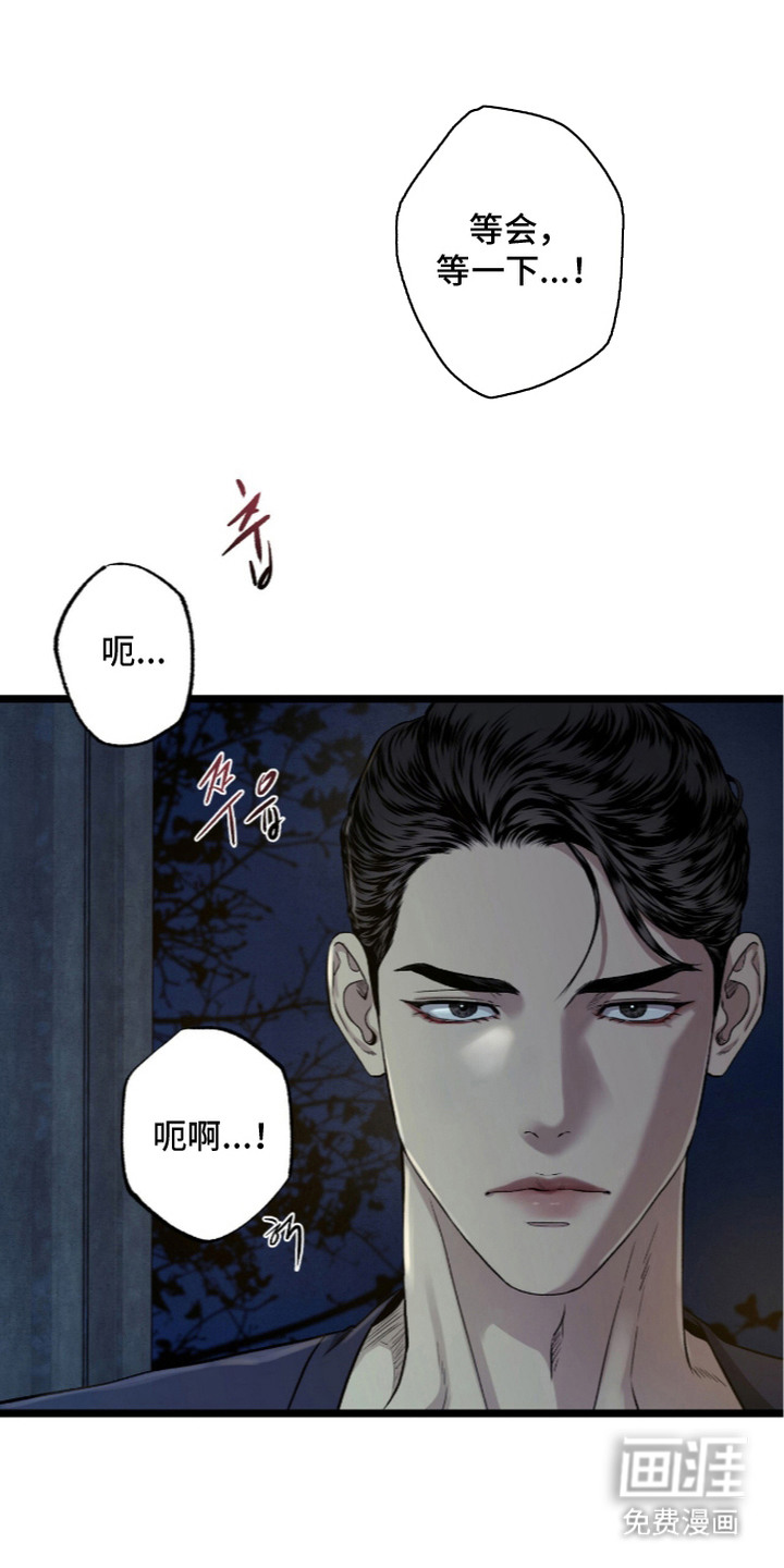 狂夜共生漫画-图6