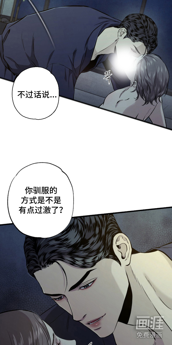 狂夜共生漫画-图17