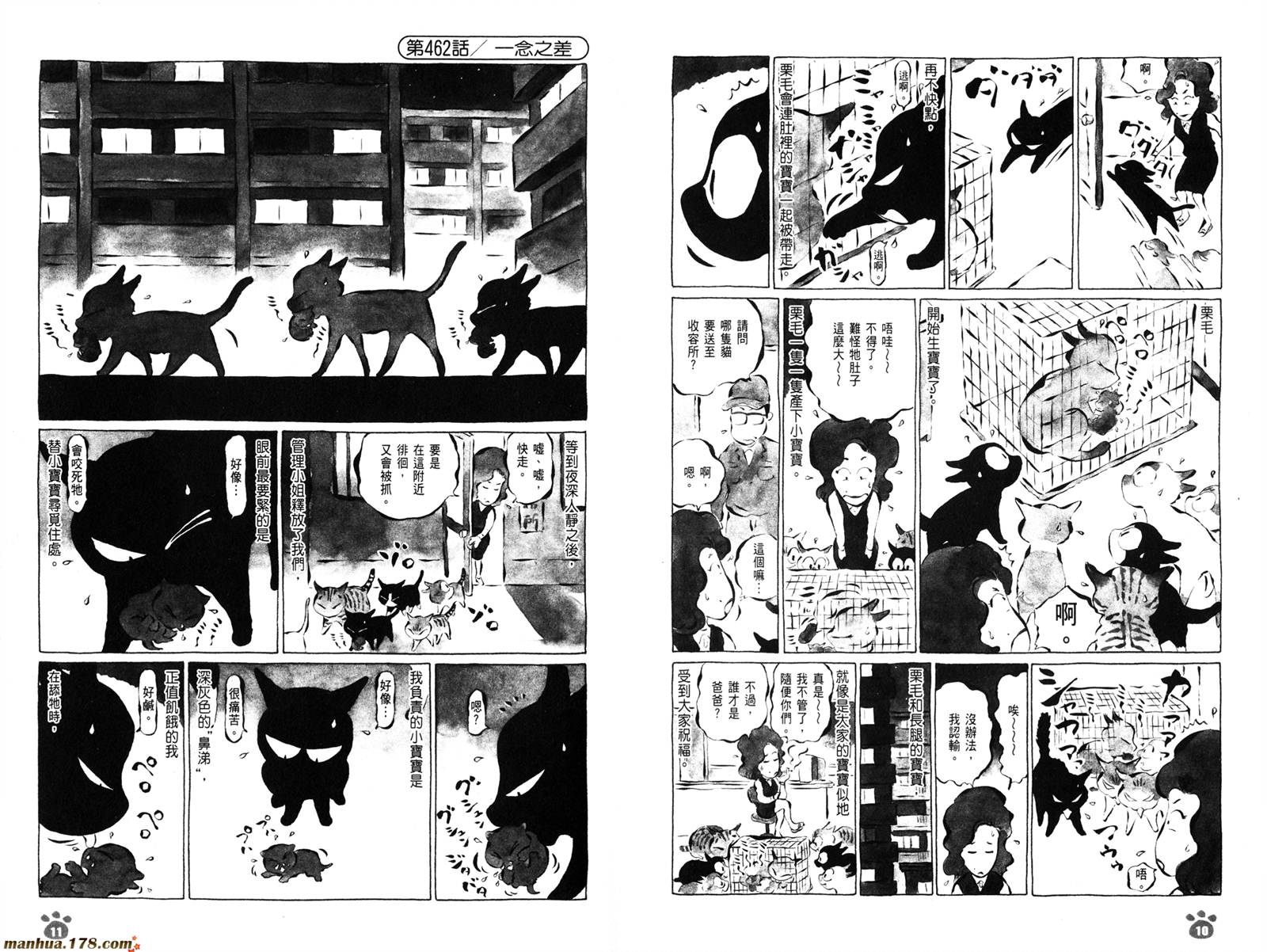 酷猫小黑的生活日记第8卷图