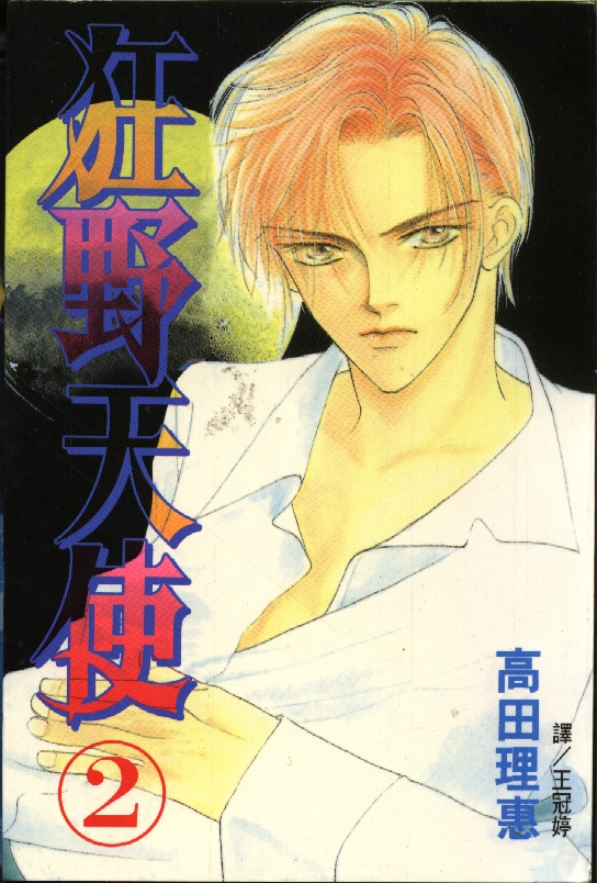 狂野天使第2卷图