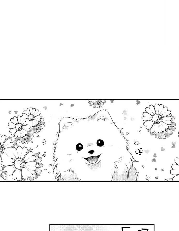 落入谁的圈套呢 第15话 第0页