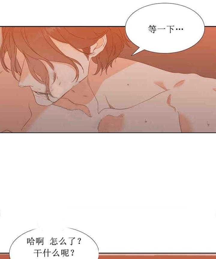 恋爱等级第19话图