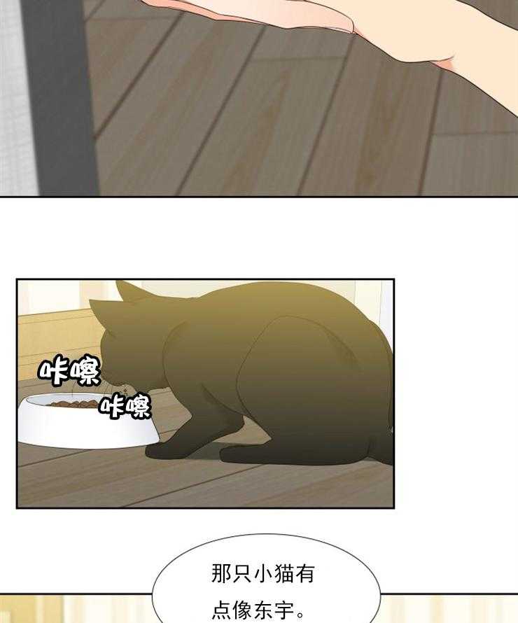 恋爱等级第28话图