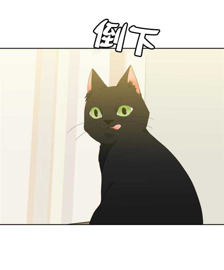 恋爱等级第28话图