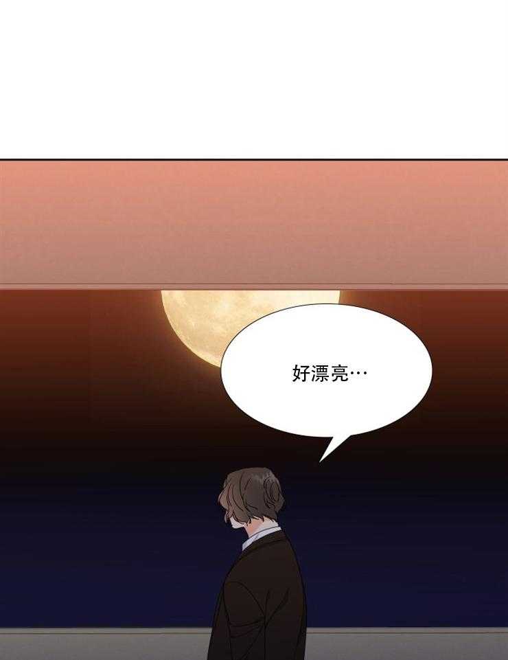 恋爱等级第29话图