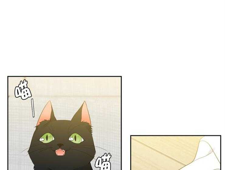 恋爱等级第48话图